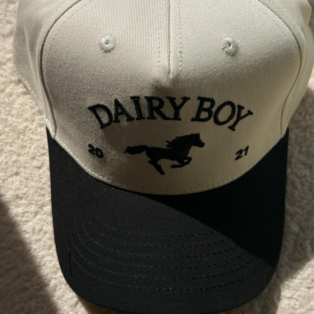 Dairy boy hat